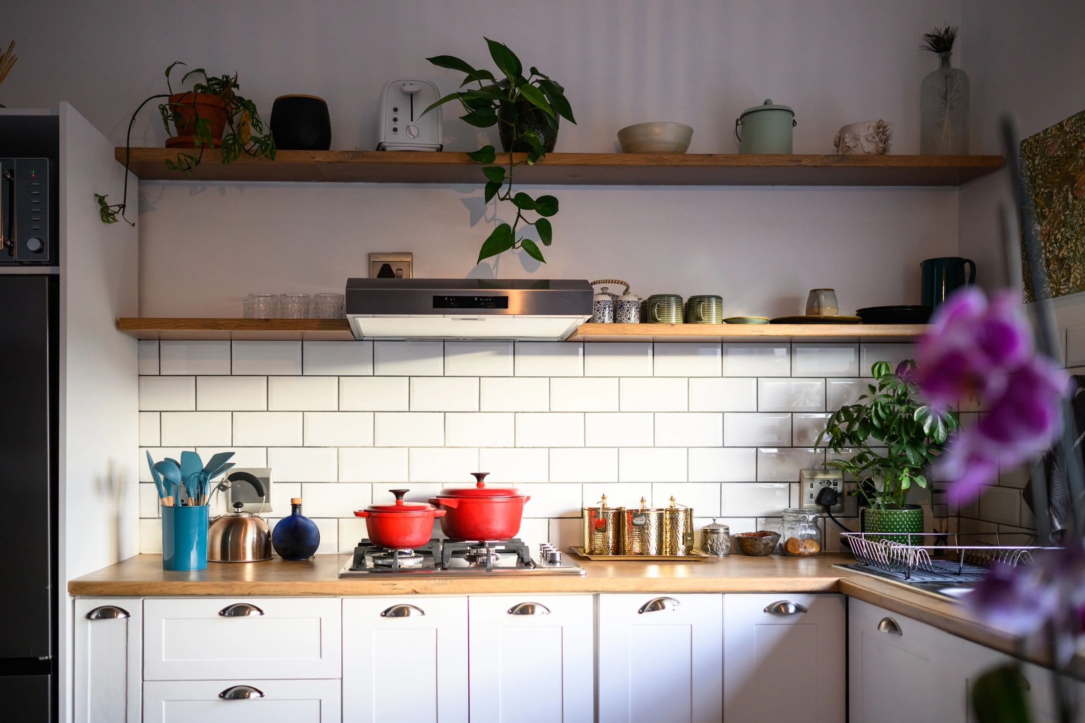 Bright modern kitchen representing clean, cared-for living spaces